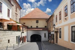Zmajevi, vile i junaci, ljetni kamp, Praktikum Centar