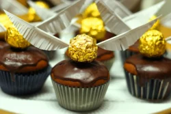 Harry Potter čarobnjački kamp Praktikum centar Zagreb 2025