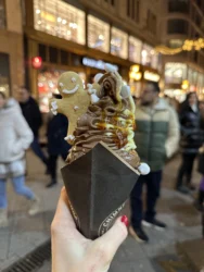 Praktikum centar, Zagreb, izlet Budimpešta, 12-2025