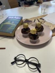 Harry Potter čarobnjački kamp Praktikum centar Zagreb 2025/2026